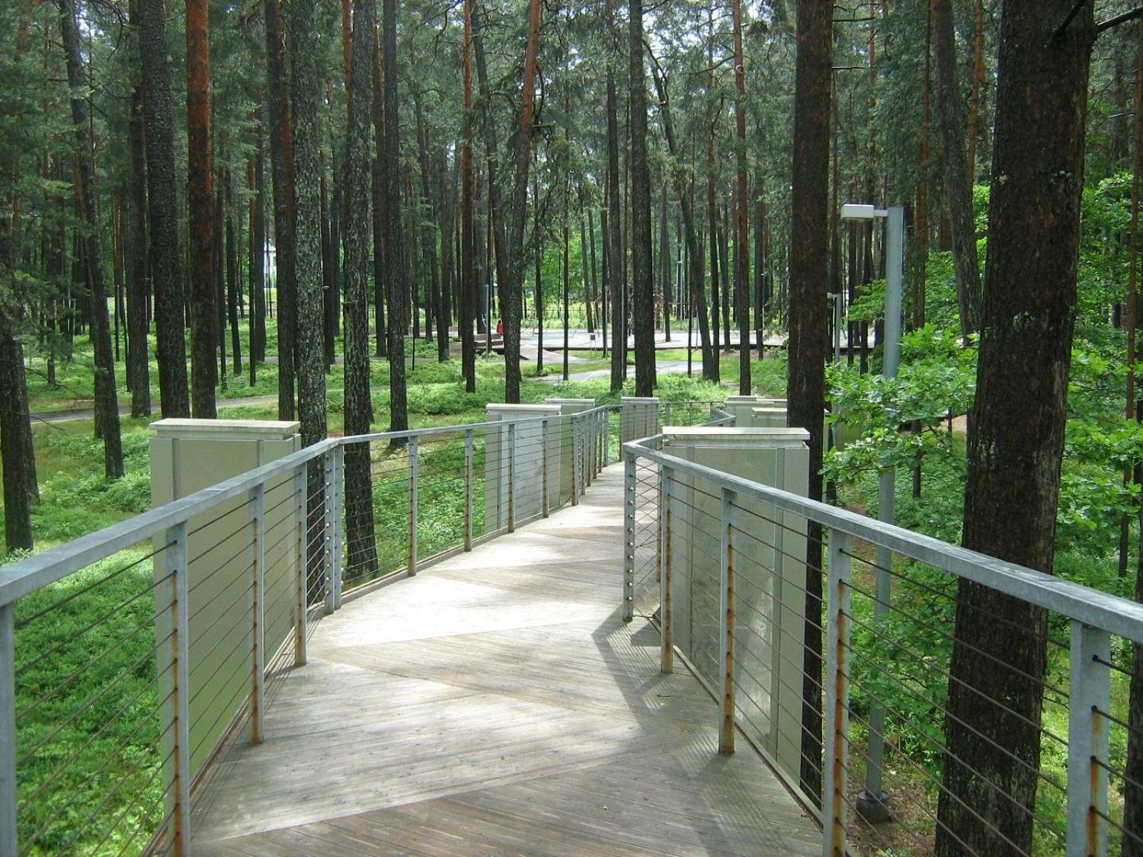 Apartment Dzintari Jurmala