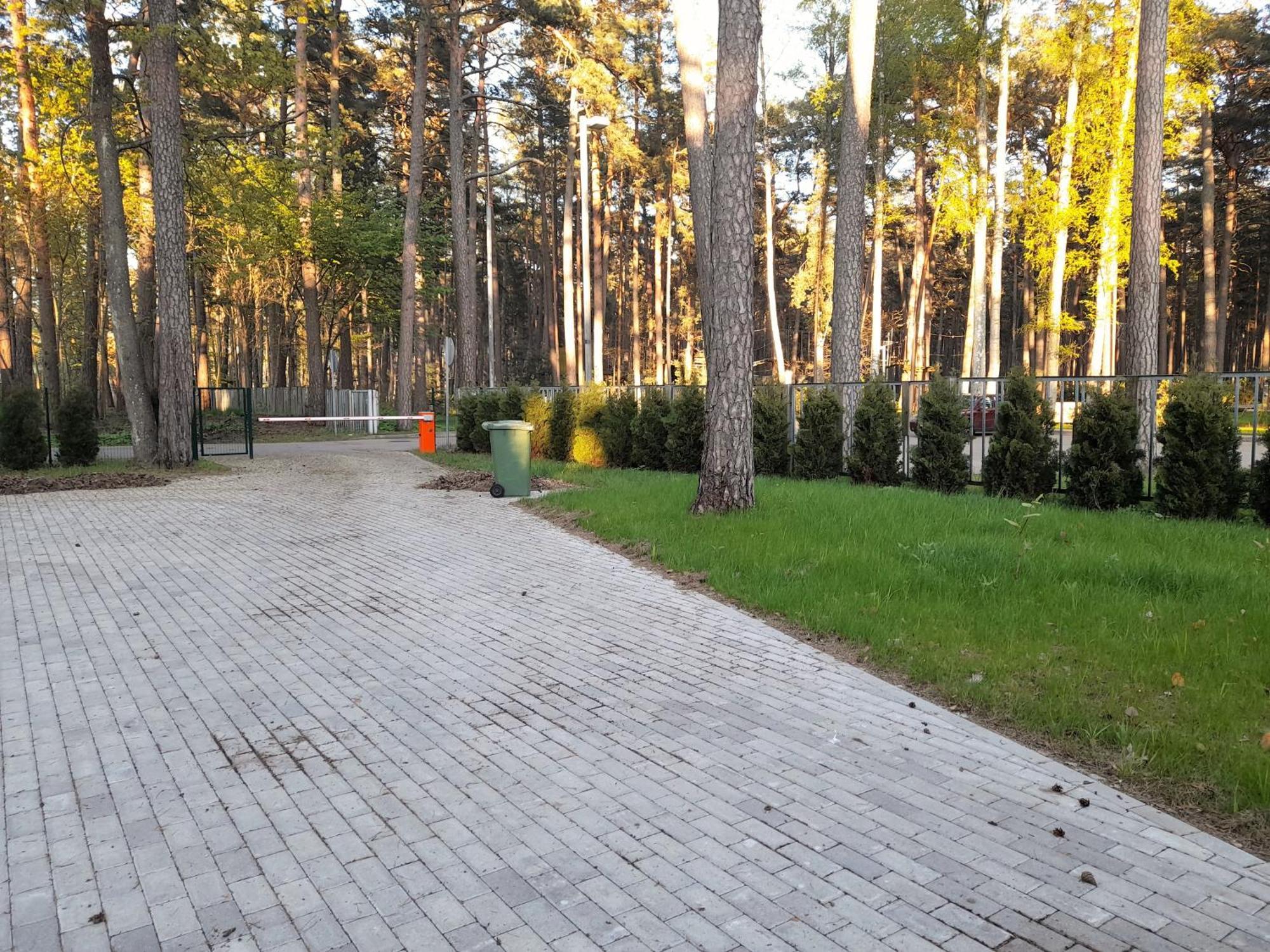 Dzintari