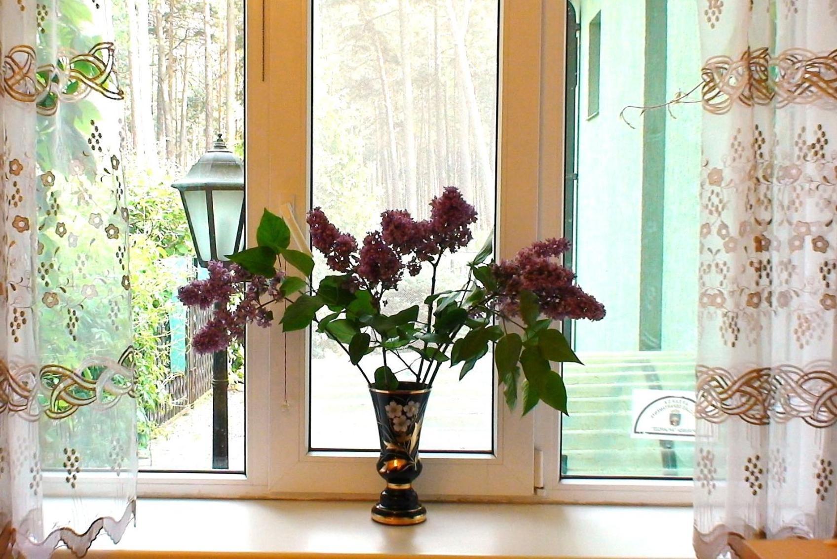 Dzintari Apartment